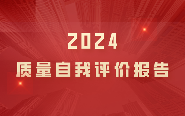 2024年度质量自我评价报告